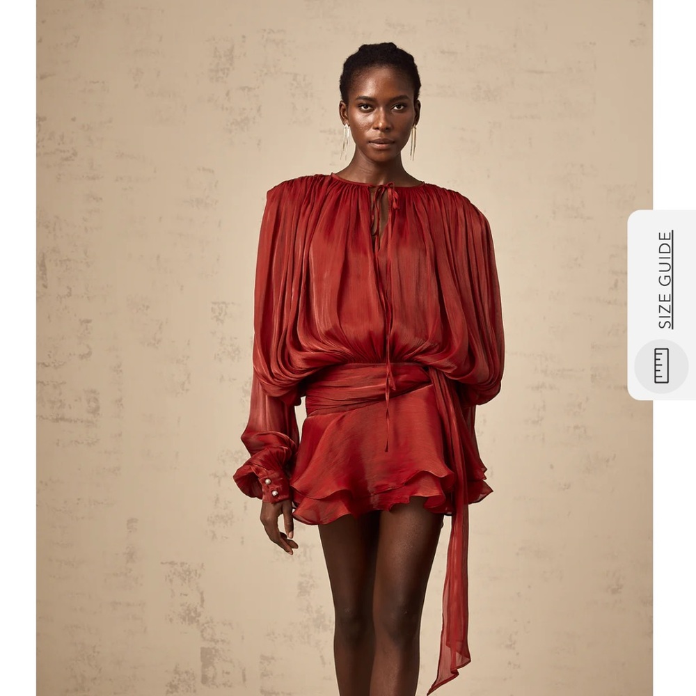 Rust Red Long-Sleeve Satin Mini Dress